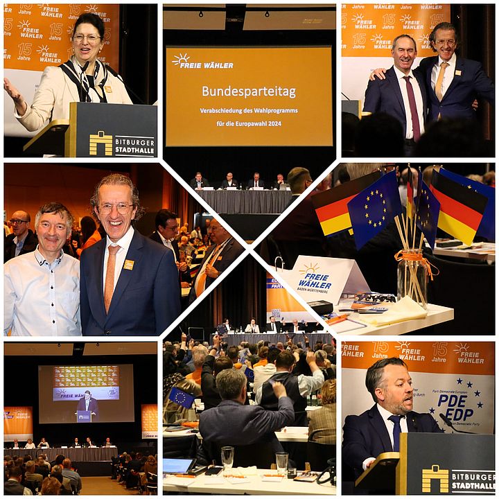 Collage von Steffi Igel mit Bilder von René Wehnert: Bundesparteitag in Bitburg