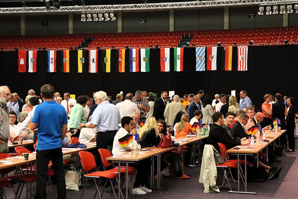 Foto: René Wehnert, Bundesparteitag 2023 in Fulda - Fahnen der Bundesländer