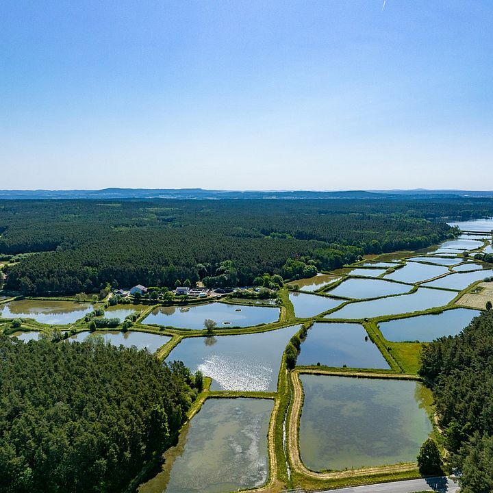 Fotograf Markus Müller: Weiherlandschaft in Röttenbach